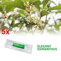 자동차 공기 청정기 에어 벤트 향수 인테리어 액세서리 차량 스타일링 AliExpress, 5Pcs osmanthus