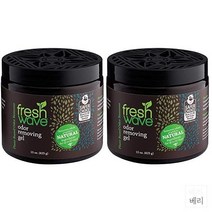 Fresh Wave Odor Removing Gel 프레쉬 웨이브 오도르 리무빙 젤 냄새 탈취제 15oz(425g) 2팩, 30 Ounce