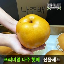 이츠올릿 나주 신고 황금 배 선물 특품 5kg 15kg 과일 먹골 추황 서양 사과 세트, 특품 나주 햇배 15kg (16-20과)