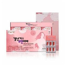 경희한방바이오 갱년기 우먼비바 2개월분, 120캡슐