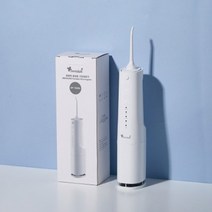 덴탈픽 휴대용 구강세정기 DP-1900K - 구강세척기 물치실