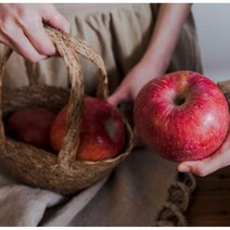 의성 부사 사과 5kg 16~19과 부사사과 햇사과 사과직거래 사과한박스, 단품