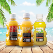 제주랑 100% 착즙 주스 천혜향5개+청귤5개 320ml