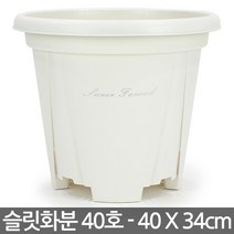 원형 슬릿 화분 12호 화이트 - 플분 슬릿화분 슬릿분 플라스틱화분 원형화분 중형화분 대형화분 모스그린 거실화분 인테리어화분 매장화분