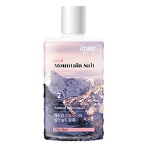 2080 퓨어가글 마운틴솔트 마일드민트향 750ml