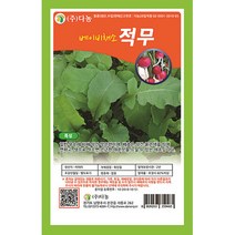 브랜드없음 베이비(샐러드)적무씨앗 10g[LE], 단품없음