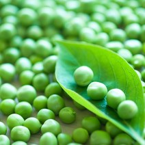 국내산 노지 깐 완두콩 1kg, 없음