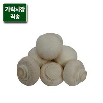 [팸쿡] 가락시장직송 양송이버섯 1팩 (500g), 상세 설명 참조