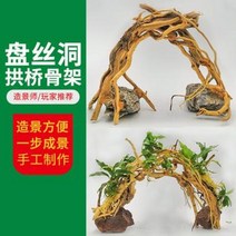 혼우드 유목 관상용 어항 조경 침목수림 철쭉뿌리 작은 아치교 골격 천연 나무 수족, 01 반사동 아치형 골조 트럼펫