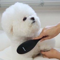 아테로 슬리커브러쉬 카딩 소프트 리버스 핀브러쉬형 엉킨털빗 강아지 고양이-블랙