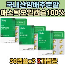 순수 100% 올리브오일 함유 매스틱 오일 양배추 분말 연질 캡슐 3개월 분 그리스산 스페인산 키오스의눈물 노인 노년 중년 장년 홈쇼핑 티비 방송 매수틱 메스틱 마스틱 매스티 주부