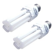 오스람 삼파장 EL 램프, 백색, 백색(20W 4000K), 2개