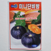 미니단비밤호박 씨앗 5립 단호박 단맛이 강하고 분질이 좋은 맛있는 호박 진흥종묘