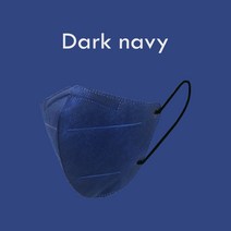 케어랩 하이클린 새부리형 컬러마스크 대형 100매 패션마스크, (대형)KC인증-다크네이비 100매