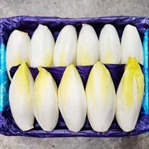야채24닷컴 엔다이브 앤다이브 500g, 1개