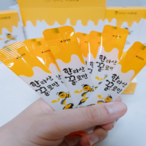 한라산꿀로만 제주꿀스틱 짜먹는 야생벌꿀 3박스(10g 30개), 3개