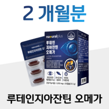 오메가 루테인 지아잔틴 누테인 오메가3 오메가쓰리 40대 직장인 회사원 엄마 아빠 부모님 혈액순환 혈행개선 건조한 눈촉촉 눈침침 눈건강 도움 홈쇼핑 영양제 성분 가격 효능 비교, 2통, 1050mg x 30캡슐 (하루 1캡슐)