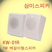 KW-01R / 3인치 1W 벽부벽걸이형스피커 ABS 핫세일적용제품