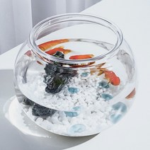 우리 이아가 좋아하는 반지왕2구피 둥근 원형 키우기 플라스틱 어항 18X16cm 베타