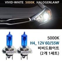 5000K 비비드화이트 기아 올뉴모닝(리플렉션 타입) 전조등 상향등 하향등 안개등 자동차램프, 1세트, 5000K 올뉴모닝(리플렉션타입) 상하향일체형 상향등 H4(2개1세트