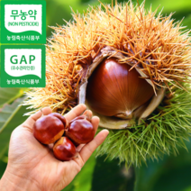 충주밤 이평 석추 단택밤 2KG, 충주밤 석추밤 특 2KG
