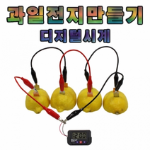 과일전지 만들기(디지털시계)