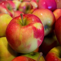 [특등급] 사과5KG 아침사과 꿀사과 사과 사과 사과즙 꿀사과 아침사과 부사사과 사과종류 사과유명한곳 사과선물세트 미니사과 사과주스 사과박스 사과가격 못, 5KG, 5KG, 본상품선택