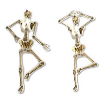 마이사이언스 인체 모형 만들기 (10명 세트) / (ICE), 상세페이지 참조