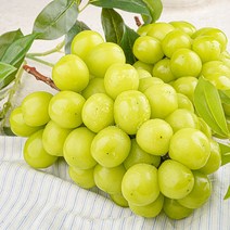 농가살리기 샤인머스켓 샤인머스캣 경북 고당도 산지직송 1kg 2kg 2수 3수 4수, [상] 겨울 샤인머스켓 1kg(2수)