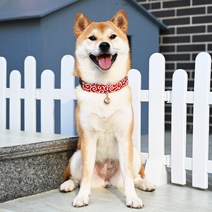 LongFatoys 일식 강아지 목줄 방울 개목걸이 당초무늬 시바견 개줄 소형견 웰시코기 푸들, 레드코일+견인줄