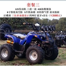 사륜오토바이 바이크 오프로드 4륜오토바이 ATV 스포츠카 산악, 송아지 세트 3