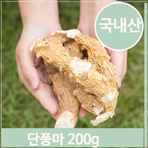 푸들 단풍잎 모양 마뿌리 200g 통 단풍마 건조 약재 건강차 (7563716), 기본