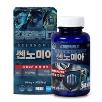 강철부대쎈노미아 120정 홍삼 옥타코사놀 비타민 나이아신 엽산 판토텐산 아르기닌, 120정x1개, 800mg
