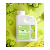 흥국 맘스리얼베이스 청포도앤샤인머스켓 1kg 1개, 청포도1kg
