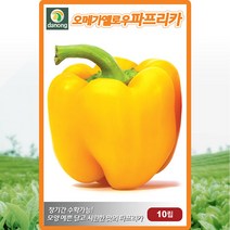 오메가 옐로우 파프리카 씨앗 파프리카 씨 종자 10립