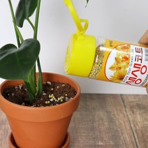 앙플랜트 생생코트 비료 대형 280g, 1개