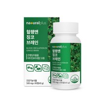 기억력 인지력개선 혈행앤 징코 브레인 (500mg x 90정) 비타민 미네랄