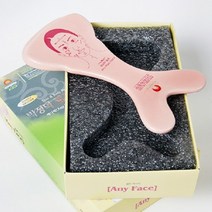 박정덕BSP ANY PARK-애니페이스