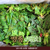 국산 산지직송 2대째 농사중 비금도 섬초 아연영양 명품 시금치 1kg 2kg, 1개