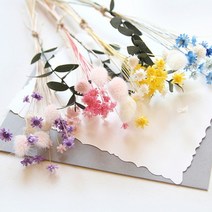 [바보사랑] 스타플라워와 허니테일미니다발, 꽃색상선택:옐로