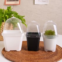 온실캡 슬릿화분 세트 씨앗발아 삽목상자 화분세트, 흰색