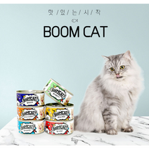 붐캣 촉촉한 고양이캔 참치 닭고기 연어 가쓰오부시 게맛살 치어 6종 1박스 80g X 24개/96개, 24개입, 참치와연어