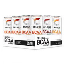 Celsius 셀시우스 BCAA 플러스 에너지 스파클링 버라이어티 팩 355ml 12개입, 1개