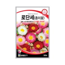 모칸도 (무배)세계 로단세 꽃씨 (300립)