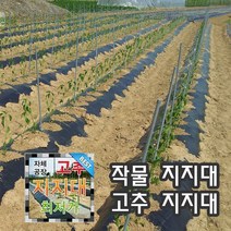 해피코리아 고추지지대1.8 m 2m 1묶음(50개) 묘목지주대 1.8m 작물지지대 고춧대 토마토 지지대, 50개