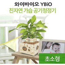 우즈에어화분 히노끼 산소발생 원목 가습기 어항 편백나무rst369, SPRg_화분+자갈+식물(스파티필름)