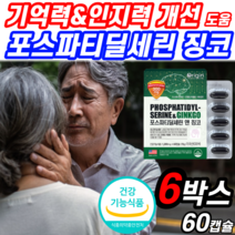 식약청 인증 포스파티딜세린 징코 빌로바 기억력 인지력 영양제 두뇌 뇌 건강 포스파라 포스파티 딜세린 포스파티딜 포스파티 포스타 세린 포스파 포스파디 딜린 린레린 포스 쎄린 타티딜, 6박스 (314,550원 할인), 1200mgX60캡슐