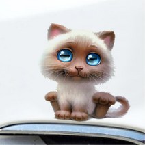 렉돌 고양이 일러스트 자동차꾸미기 스티커 차스티커