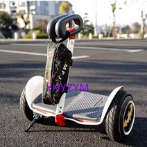 세그웨이나인봇 나인봇맥스 충전기 보관 가방 발 제어 방수 교수형 가방 segway xiaomi pro ninebot s balance electric scooter 호환, 초록
