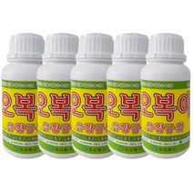 오복이 500cc 5개 수용성유황규산 과채 과수 당도 수확량증가 고추탄저병 딸기 잿빛곰팡이병약